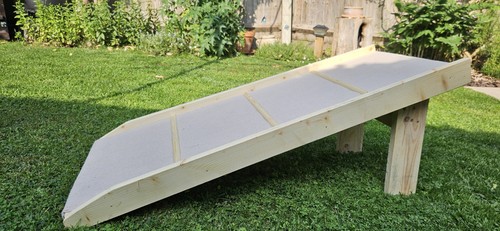 Bespoke hand made dog - dog, ramp